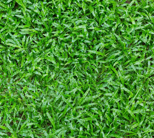 BeGreen, (414) 622-0497